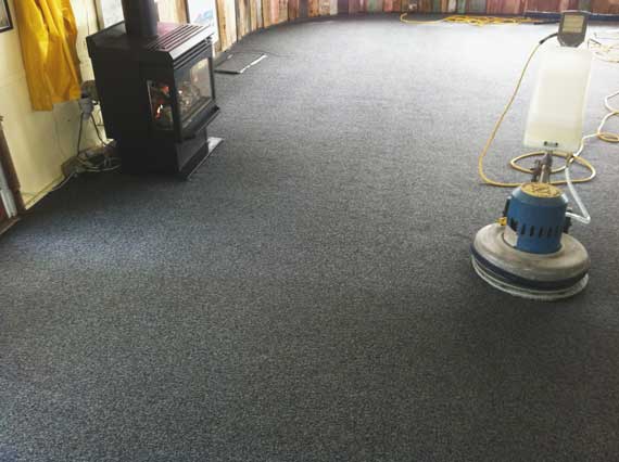 Speedy Carpet Cleaning - see the difference